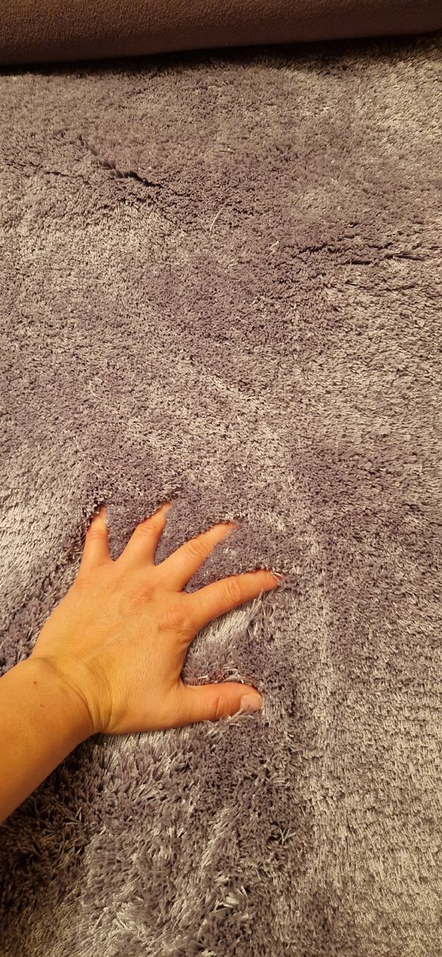 Tapis: Teppich – Neuf (Voir description) à Ulisbach par bri_ws2m 2