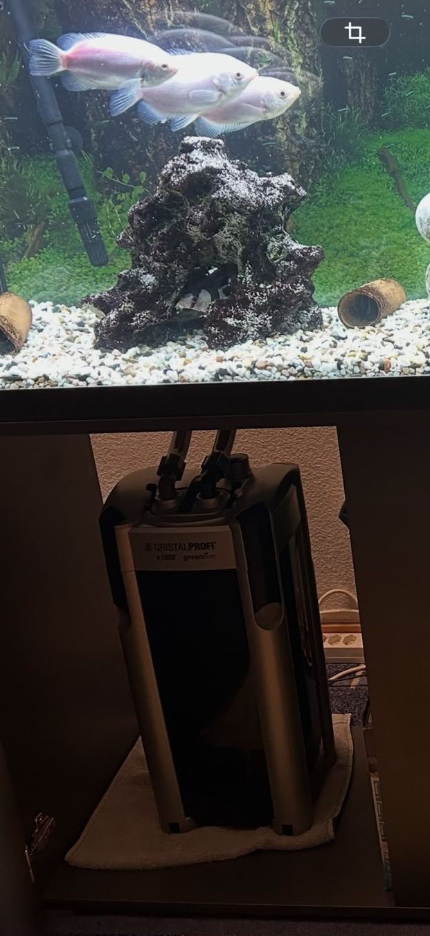 Eheim Acquari: Aquariumkomination 240 Liter – Usato da Richterswil venduto da phi_m5nf 3