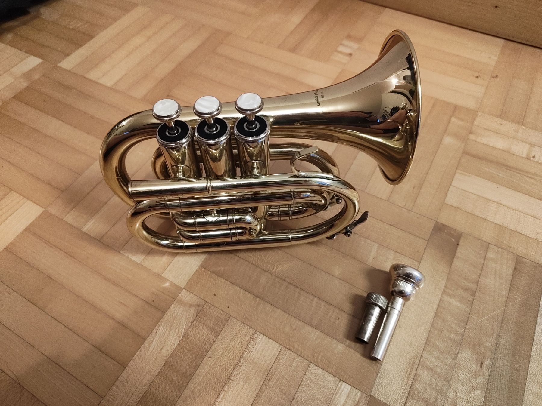 Strumenti musicali: Taschentromoete – Usato da Vitznau venduto da Gishaya 1