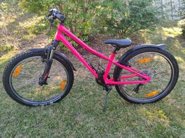 Specialized Hotrock 24