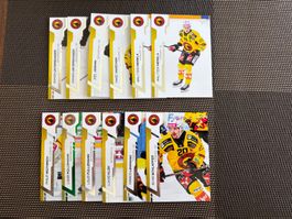 Cartes Sportzoo - Nation League  SC Bern