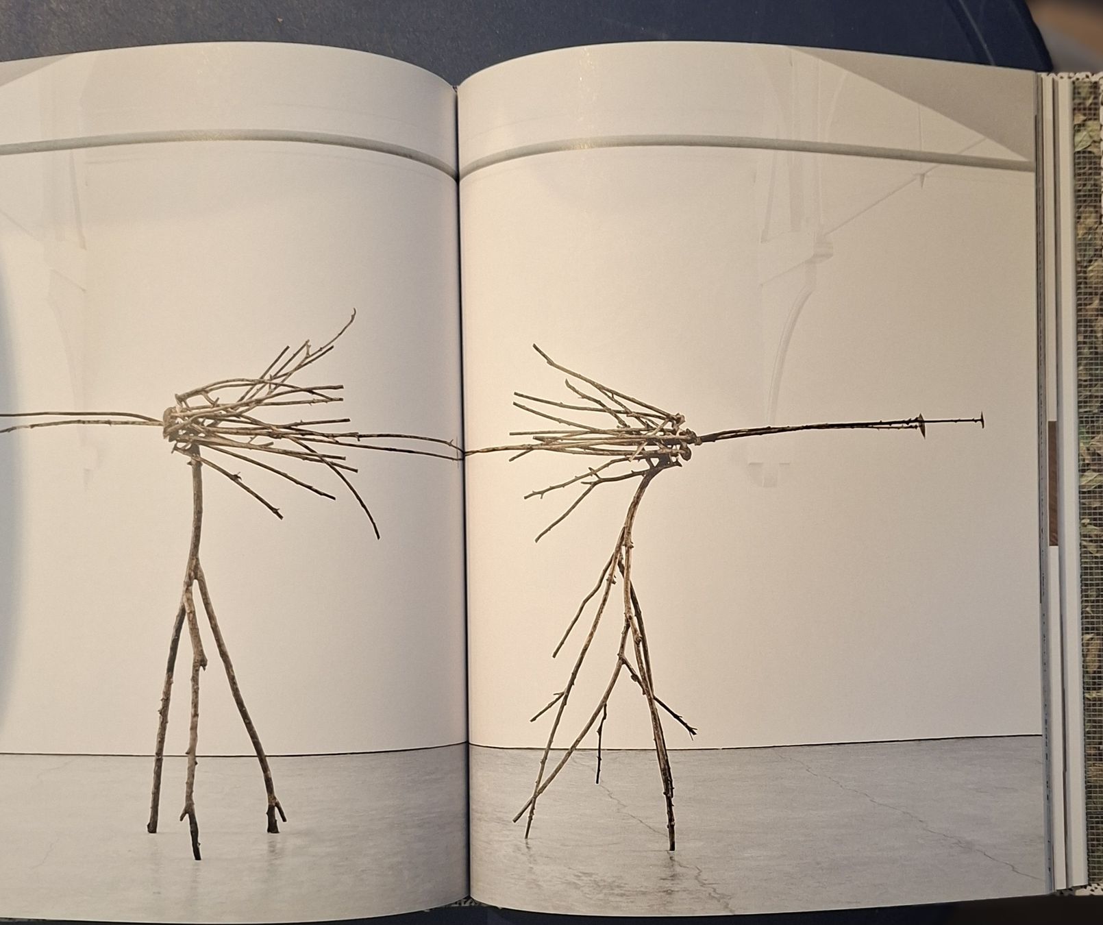 Bücher: Giuseppe Penone Buch Actes Sud Musee de Grenoble Buch – Neu (gemäss Beschreibung) aus Niederglatt ZH von Siegfried67 8