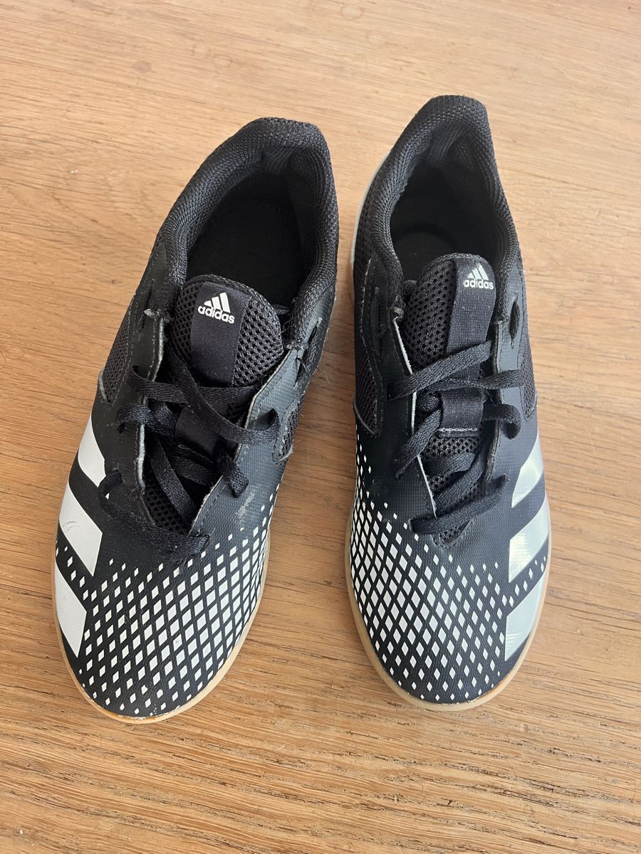 Adidas Herrenschuhe: Adidas Predator Hallenschuhe / Gr 36 – Gebraucht aus Kloten von sanibunny 2