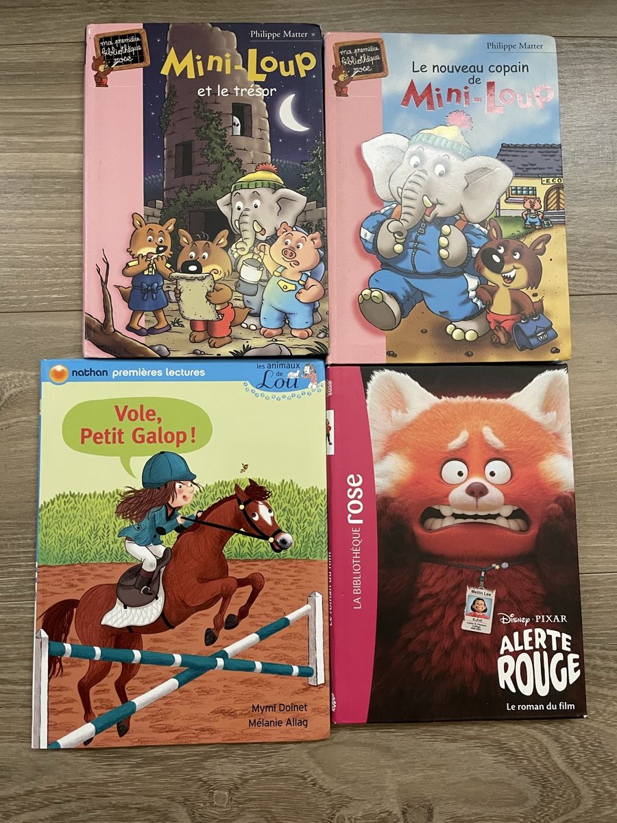 Livres: Premières lectures: Mini-Loup, etc – D'occasion à Sierre par Ruyfigas