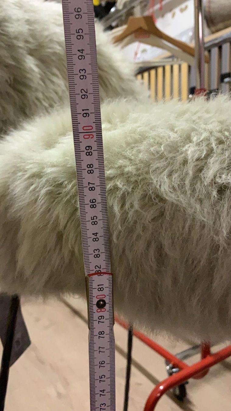 Sedie: Fabrikneuer Stuhl von Wolf Interieur – Nuovo e nell'imballaggio originale da Chur venduto da Renibe 7