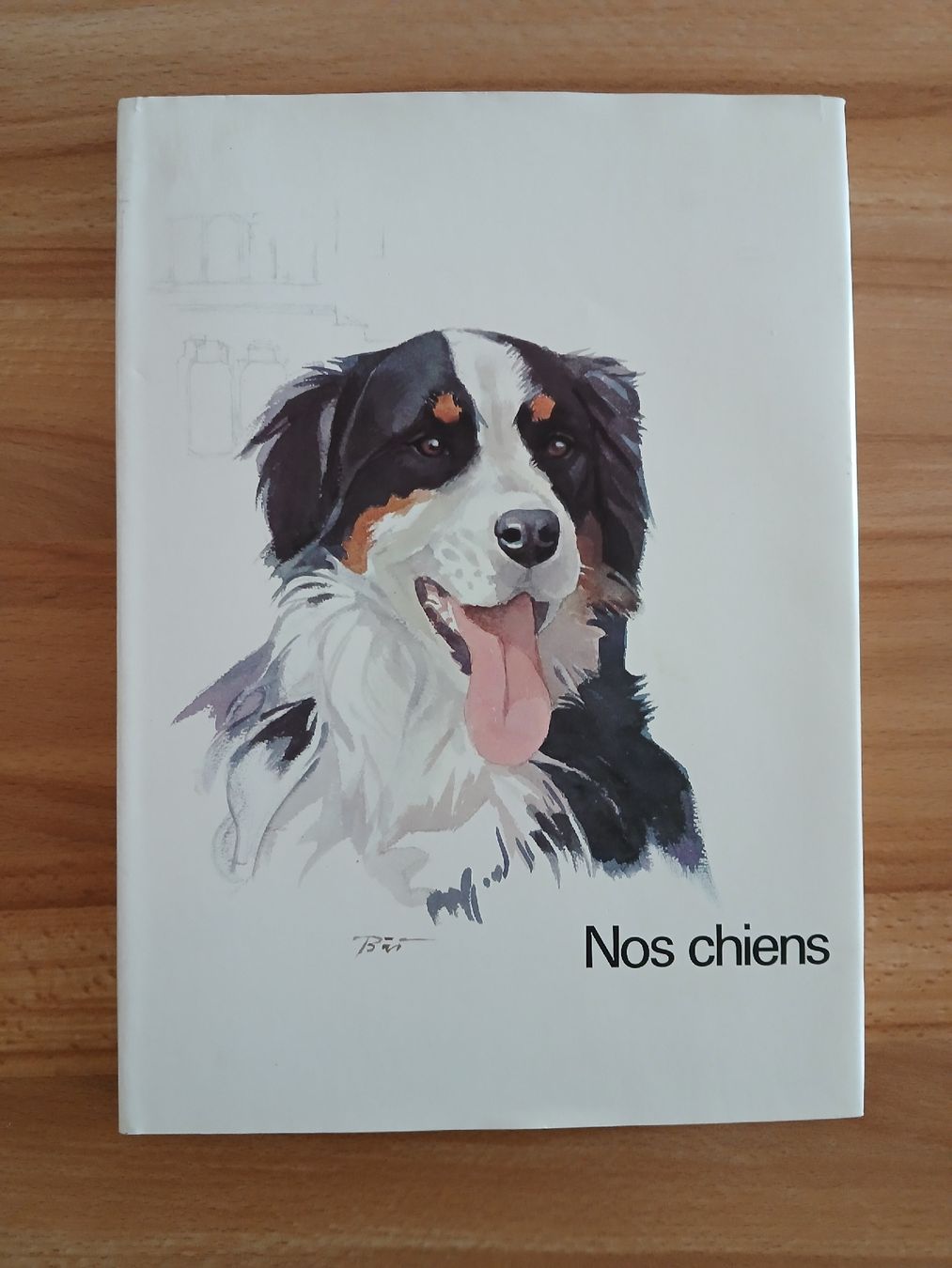 Libri: Nos chiens – Usato da Le Sentier venduto da arc_2thy