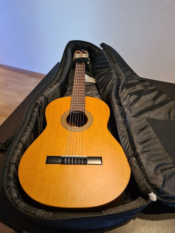 Gitarre | Kaufen auf Ricardo