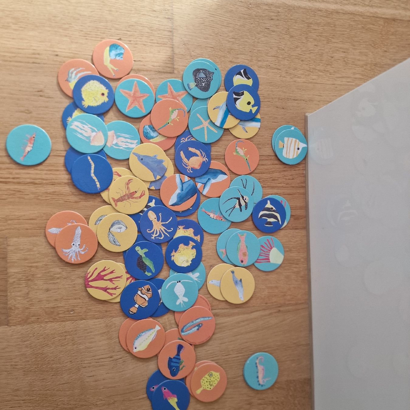Giochi: Ocean Animals Memory Spiel - Top Zustand – Usato da Uetikon am See venduto da Walkingtothemoon 4