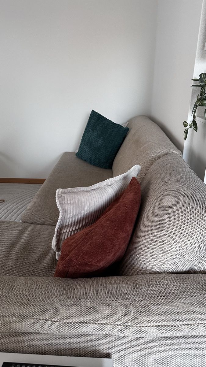 Pfister Sofas: Designer Sofa - mehrteilig – D'occasion à Adlikon b. Regensdorf par JennyWeber01 1