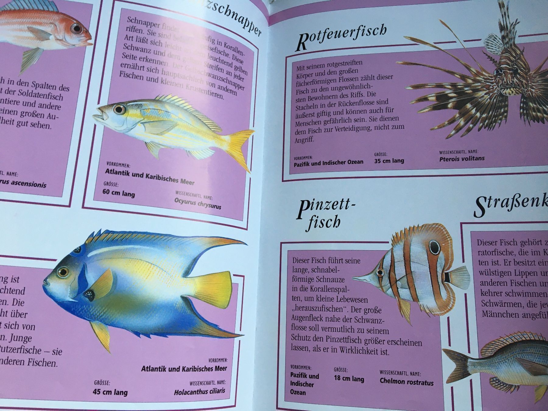 Libri: Meerestier – Usato da Arth venduto da Vrecam51 3
