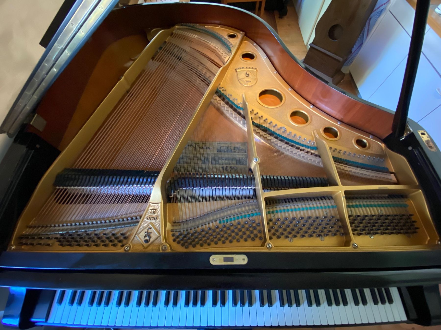 Strumenti musicali: Aug. Förster Flügel 1.65 – Usato da Trogen venduto da choropax 4