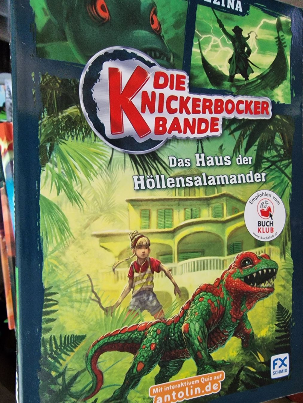 Libri: Die KnickerBockerBande Band, 6 Bûcher – Usato da Wildberg venduto da mantas07
