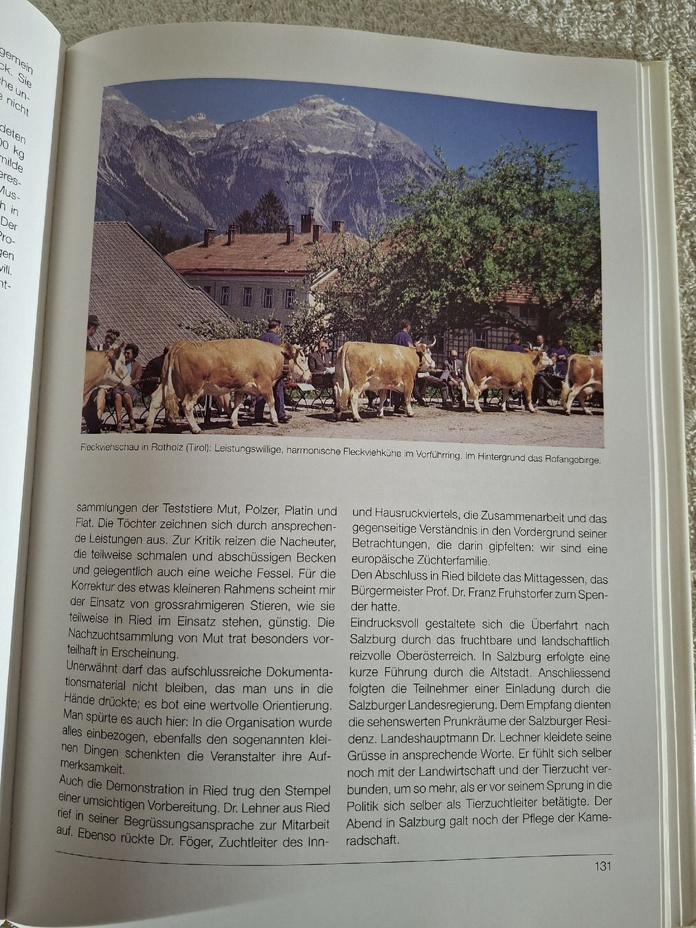 Cloches & sonnailles: Das Simmentaler Fleckvieh – D'occasion à Grindelwald par carro5 6
