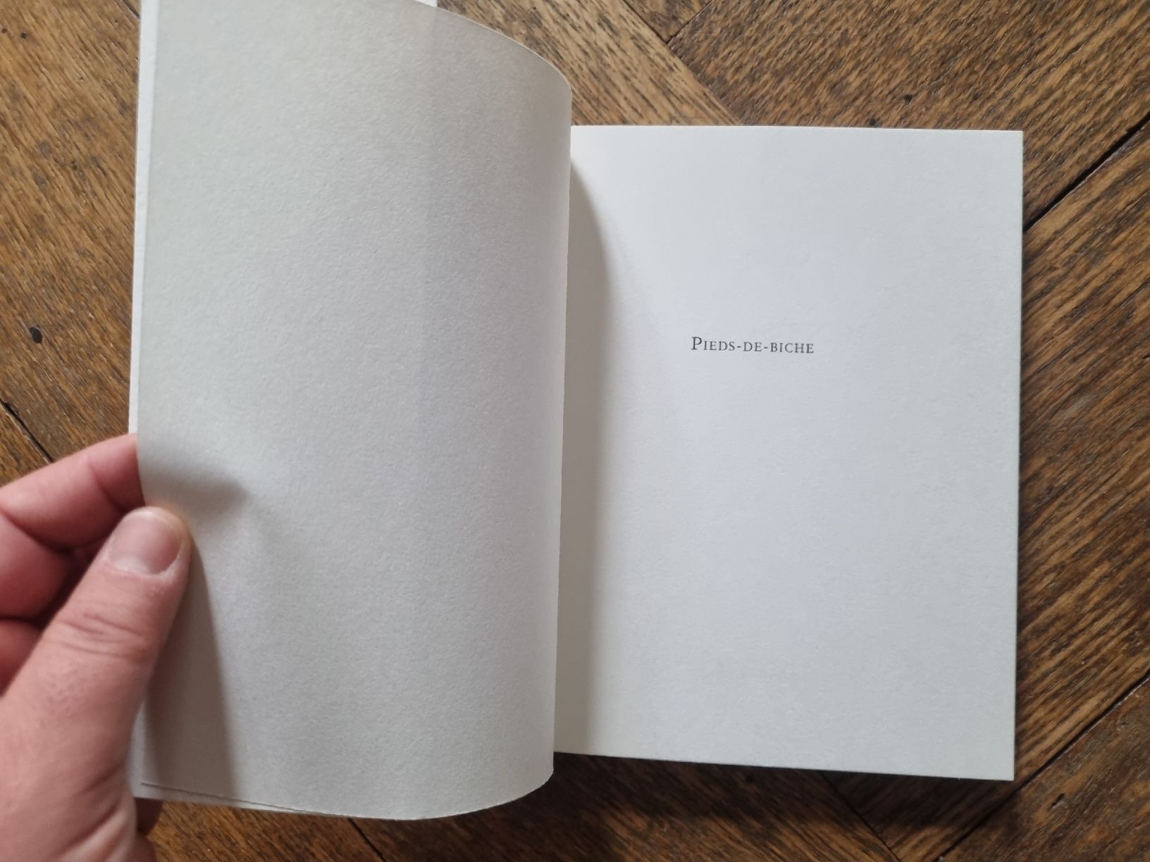 Libri: recueil de poèmes "Pieds-de-biche" de Cesare Mongodi – Usato da Fribourg venduto da sal_5ln6 3