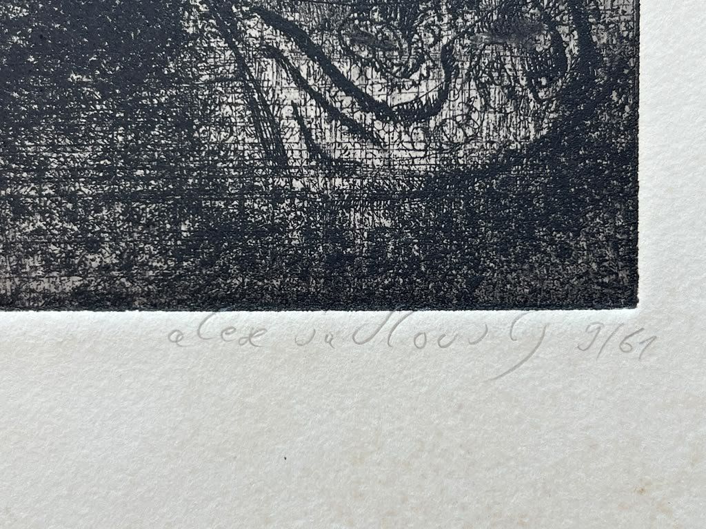 Foto & Immagini: Radierung von Alex Sadkowsky  //22 – Usato da Volketswil venduto da benluke 2