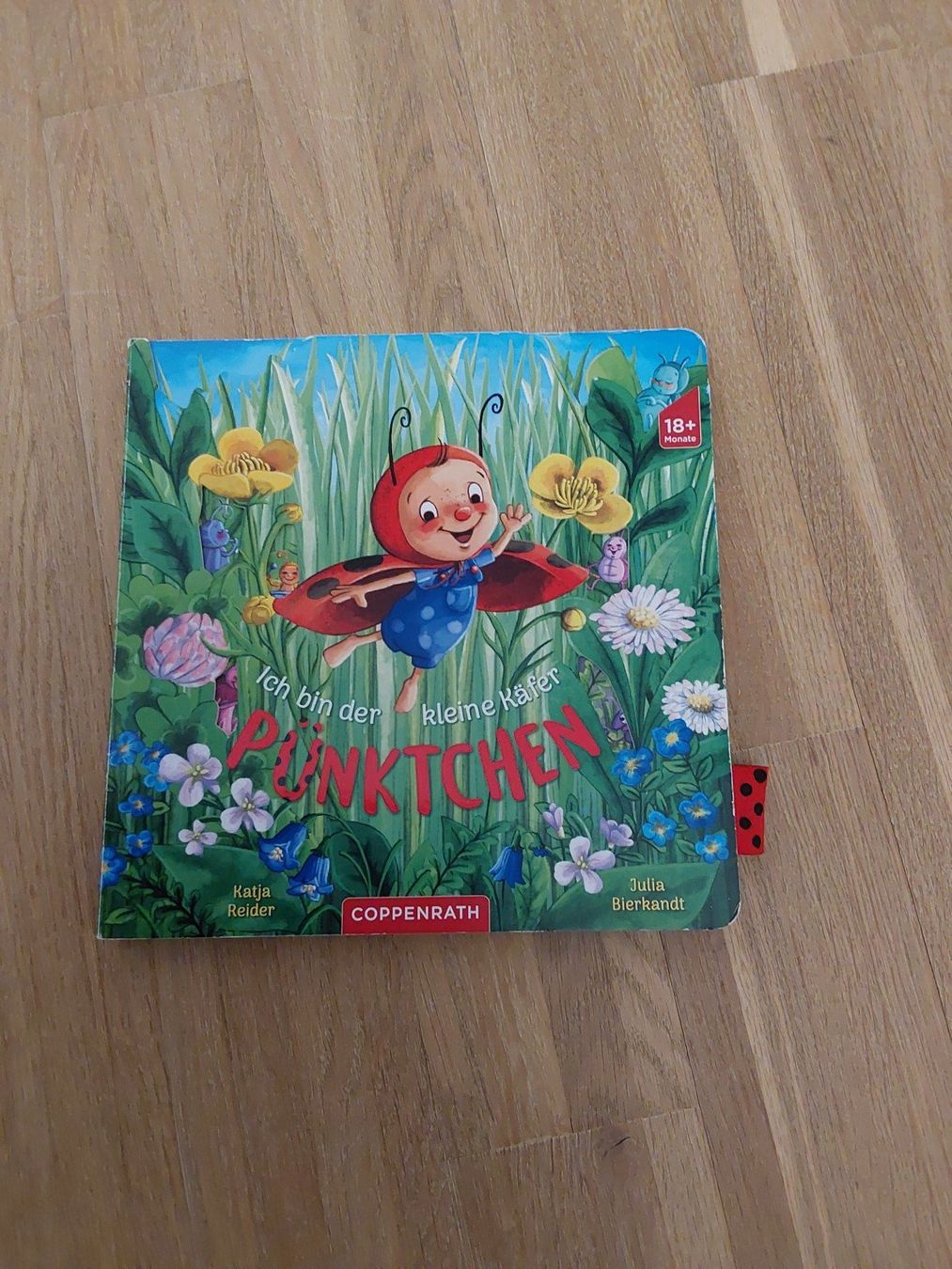 Bücher: Kinder Bücher – Gebraucht aus Wallisellen von Wallisellen77 3