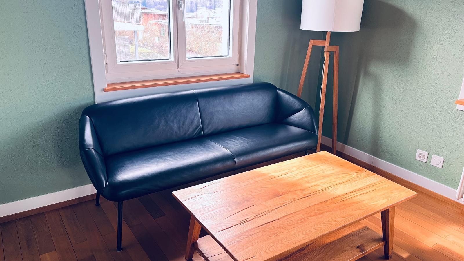 Interio Divani: Designer Leder Sofa in sehr gutem Zustand – Usato da Winterthur venduto da urs_y27y 2