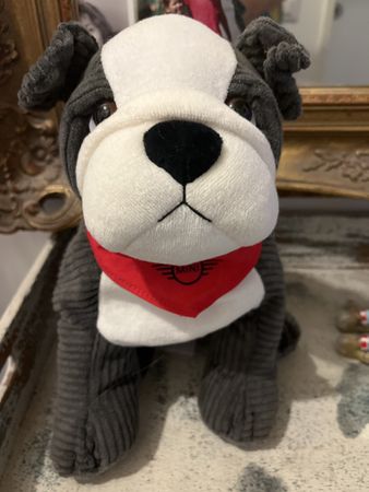 Mini Bulldogge Stofftier mit Halstuch - Top Zustand!