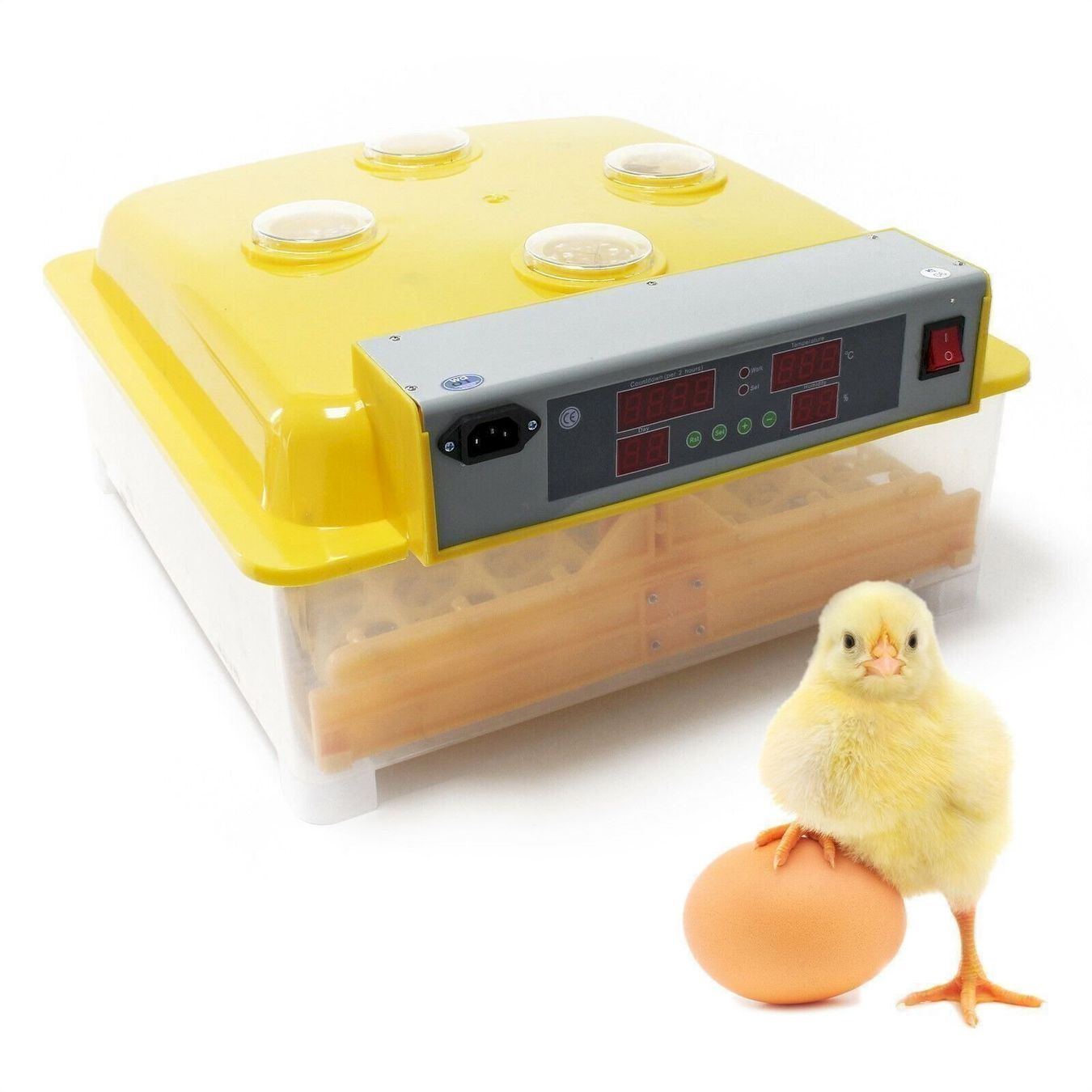 Altro in Accessori per animali: Automatische Brutmaschine 48 Eier – Nuovo e nell'imballaggio originale da Bottighofen venduto da zaap