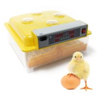 Automatische Brutmaschine 48 Eier