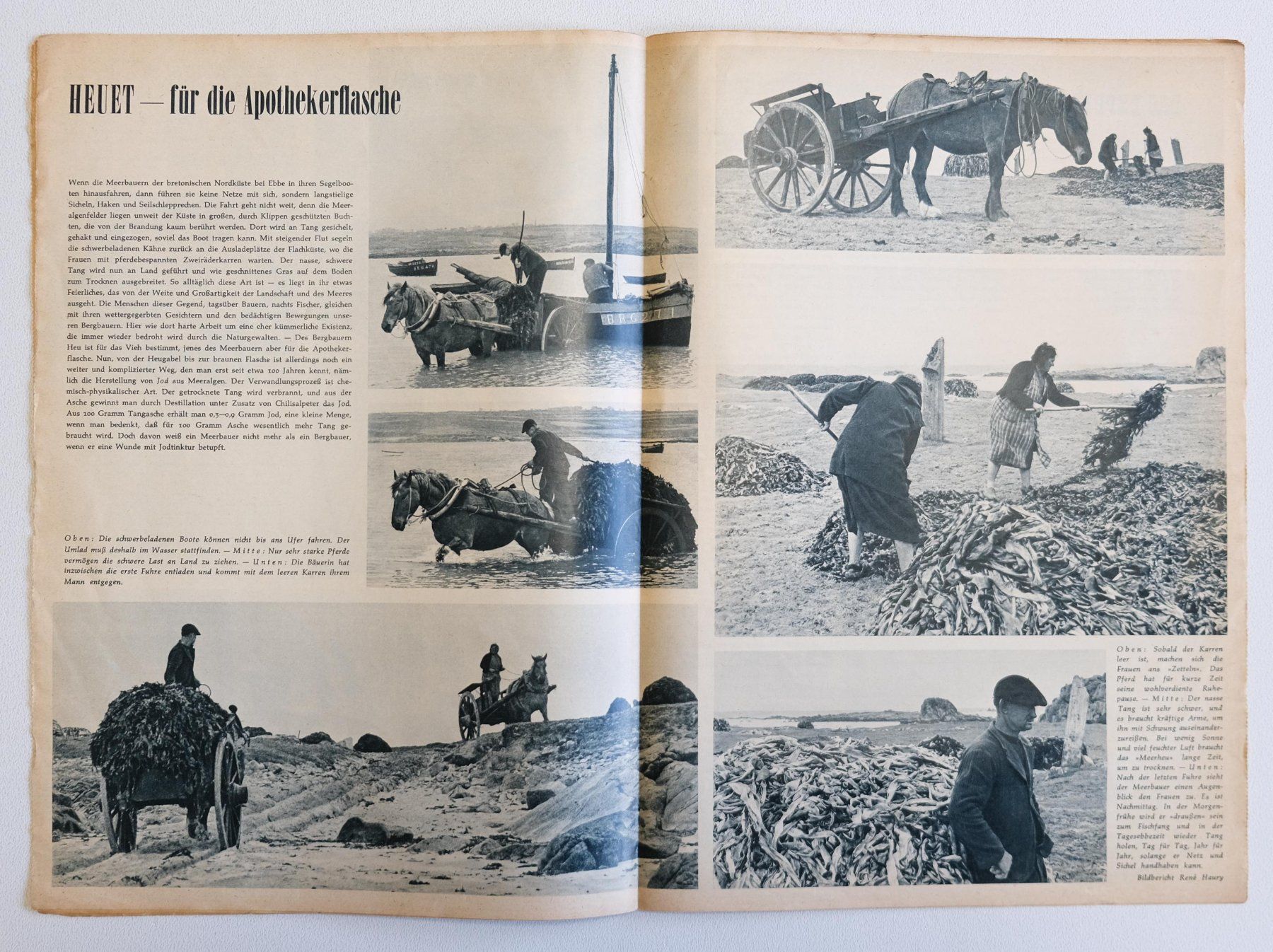 Riviste & Magazine: Zeitbilder 1961, Set 4 Ausgaben – Usato da Zürich venduto da Melody2000 4