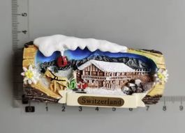 Kühlschrankmagnet Schweiz | Souvenir | NEU | Swiss Alps
