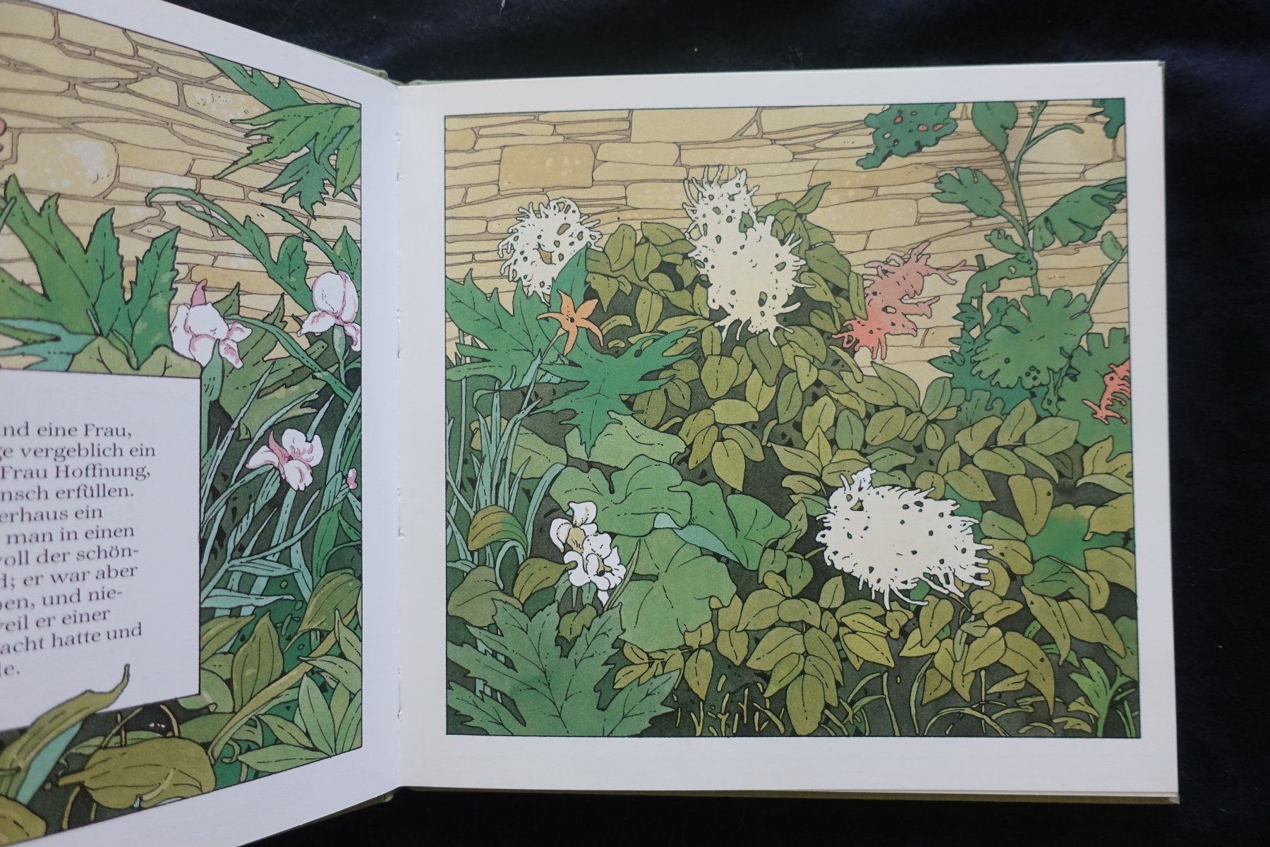 Libri: Gebrüder Grimm: Rapunzel. Ill. Karin Blume – Usato da Gutenswil venduto da Optico 4