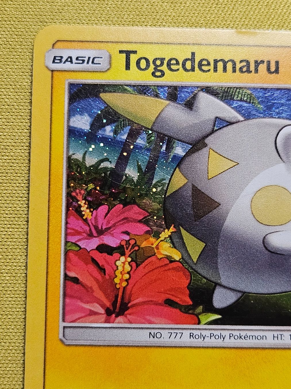 Pokémon Carte collezionabili: Promo SM - Togedemaru SM09 – Usato da Bellinzona venduto da Pokemarco 2