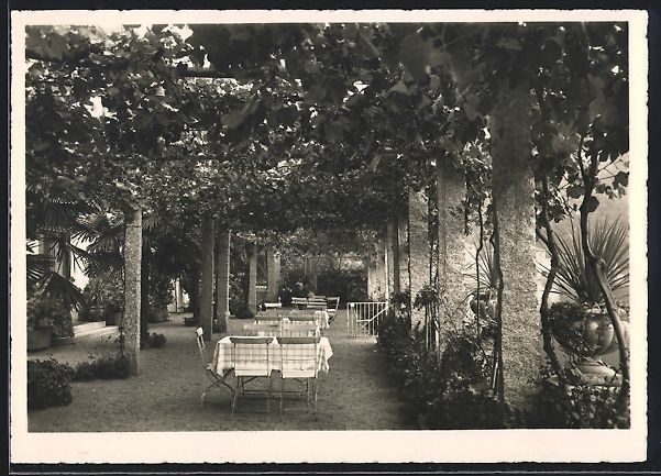 Cartoline postali: Lugano-Cassarate, Weinlauben Terrasse de – Usato da Berlin venduto da bartko-reher