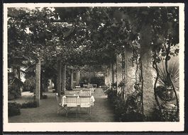 Lugano-Cassarate, Weinlauben Terrasse de
