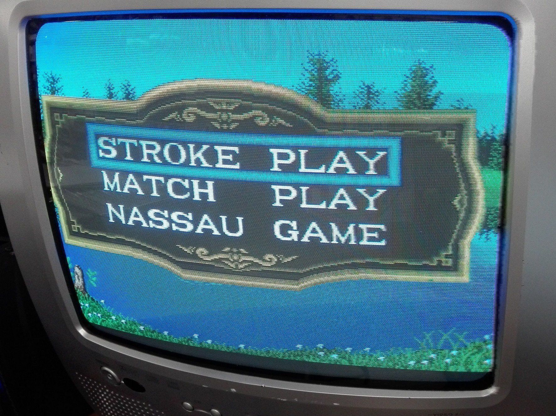 Slot Machine: Top Player Golf / MVS SNK Arcade – Usato da St. Gallen venduto da zorro_dc 3