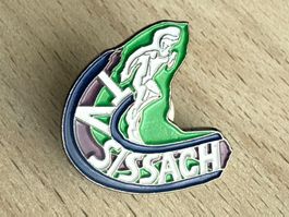 Pin TV  Sisssach