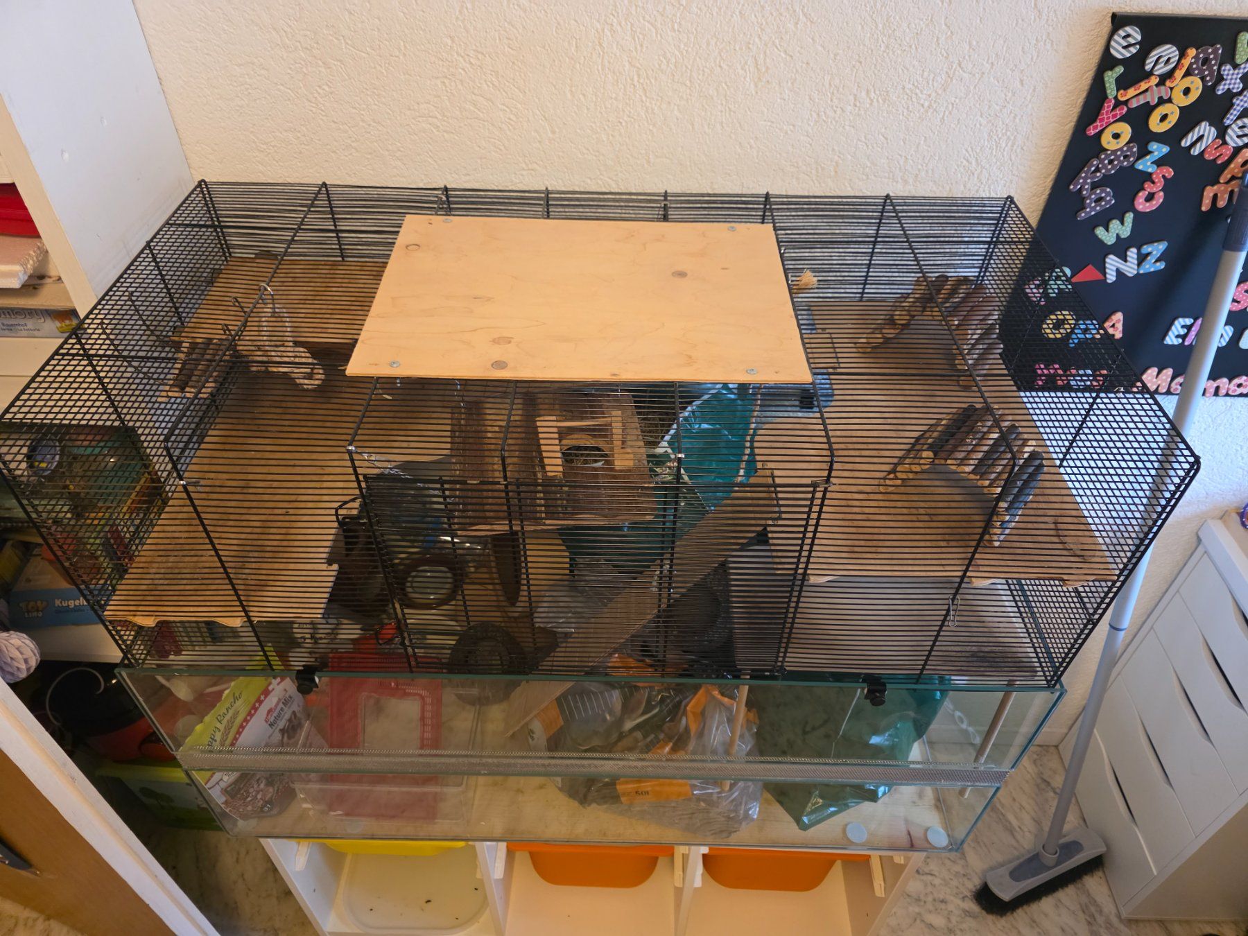 Cages, transport & sécurité: Mäuse Käfig – D'occasion à Otelfingen par The_crow81 4