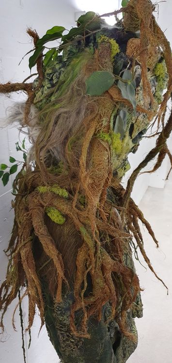 Costumi: Alti Garde Luzern: Karnewald / Wurzeln / Garten / Baum – Usato da Emmenbrücke venduto da Mandali67 3