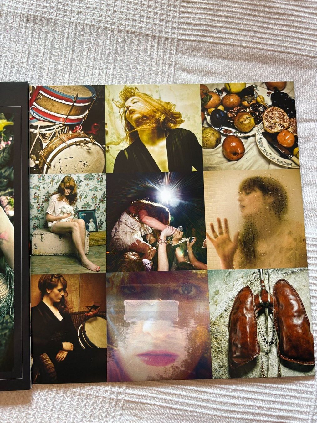 Schallplatten: Florence + The Machine – Lungs Vinyl LP – Gebraucht aus Effretikon von ChrisLamberger 3