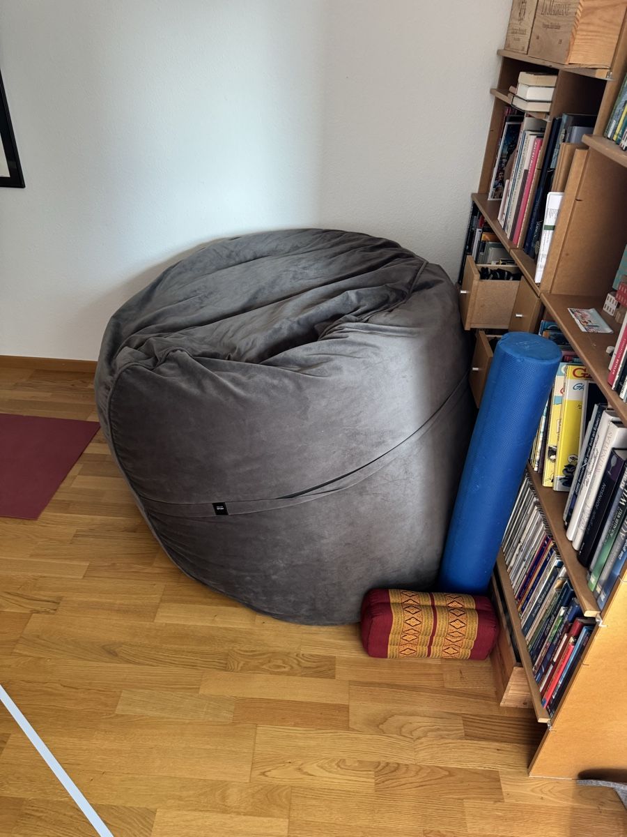 Vetsak Poltrone: Vetsak Sitzsack grau gute Zustand – Nuovo (secondo la descrizione) da Bern venduto da sagdochhallo 1