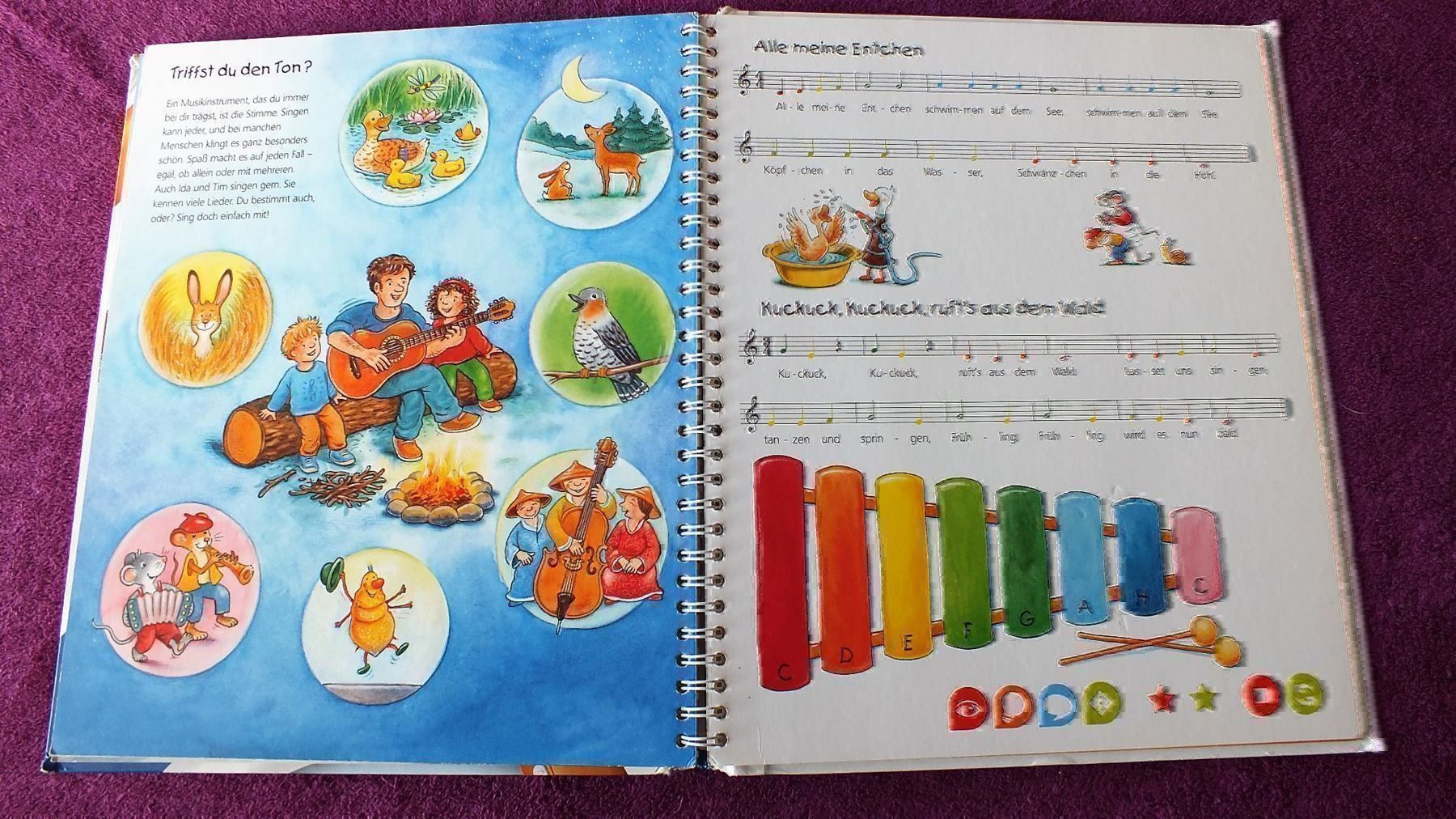 Libri: tiptoi Buch - Die Welt der Musik – Usato da Müllheim Dorf venduto da Seeeule01 2