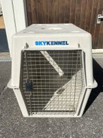 Transportbox für Hunde ob Gross oder klein. Beforzugt grosse