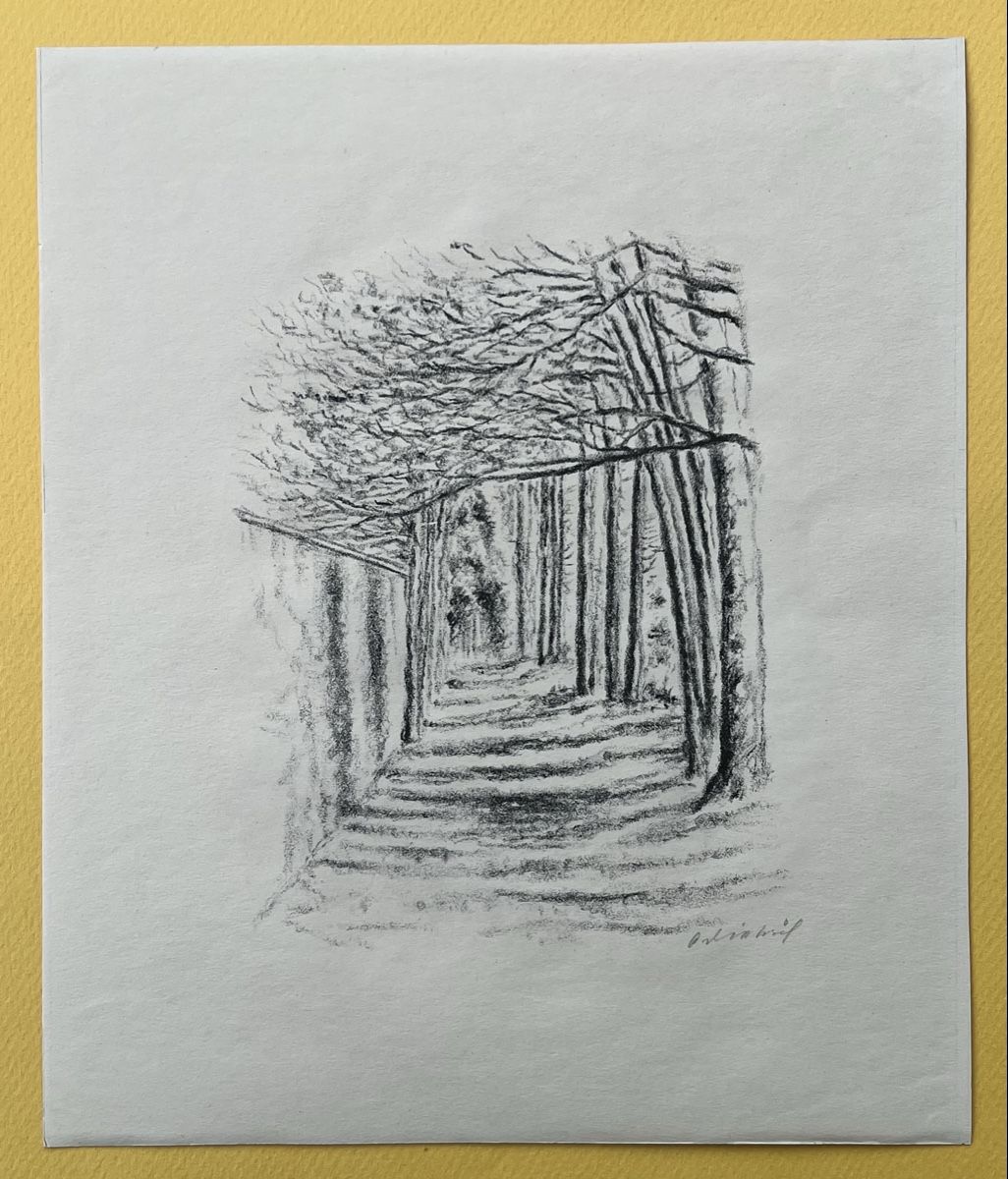 Grafica & Litografie: Adolf Dietrich Original Lithografie Baumallee – Usato da Adliswil venduto da buch_und_kunst 2