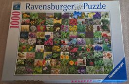 Puzzle Ravensburger 1000Teile Nr.15 991 8