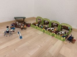 Spirit 4 Aussenboxen & Stall mit Hund und Hindernis