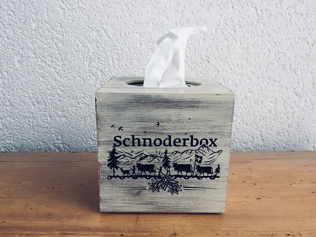 Altro in Decorazioni & Accessori: Kleenextaschentücherbox Würfel / schnoderbox – Usato da Niederbüren venduto da canadace 3