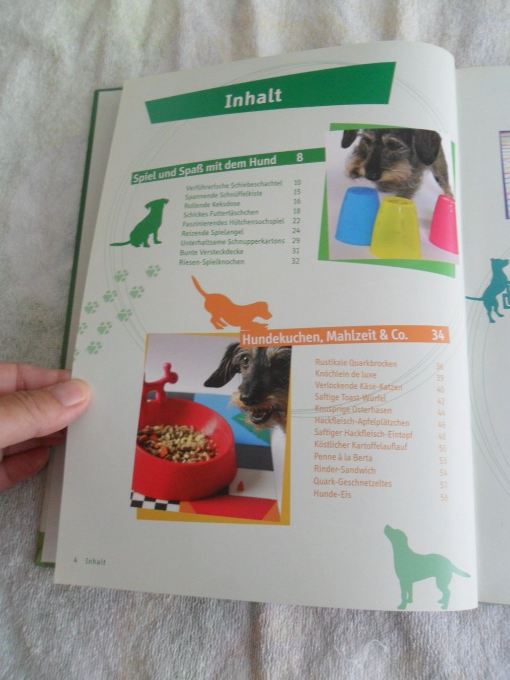 Bücher: Tierisch Kreativ! – Gebraucht aus Dübendorf von Mobu4 2