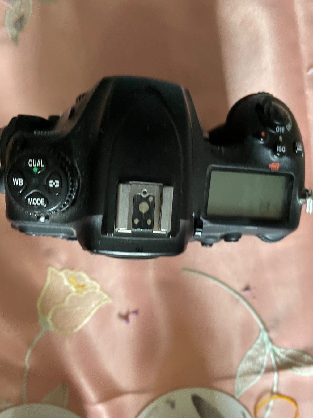 Nikon Fotocamera: Kamera Nikon D500 Body – Usato da Leukerbad venduto da magi1950 1