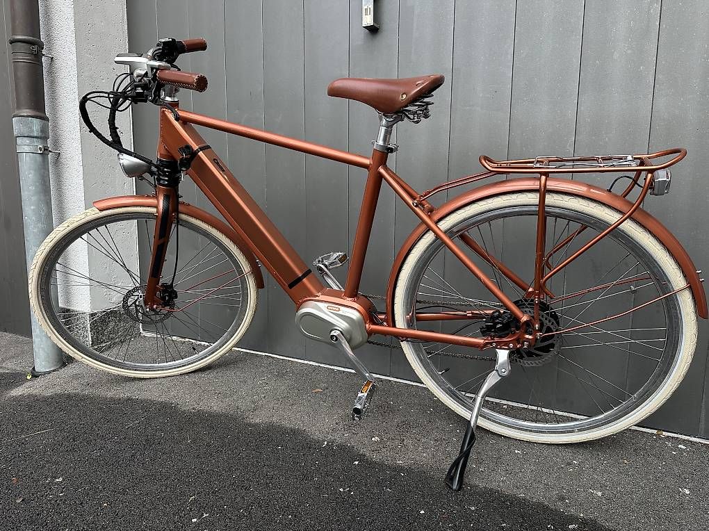 Vélos: e-bike Ego Moviment Cäsar 28   – D'occasion à Quartino par DiloUsato 3