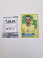Panini Sticker BRA14