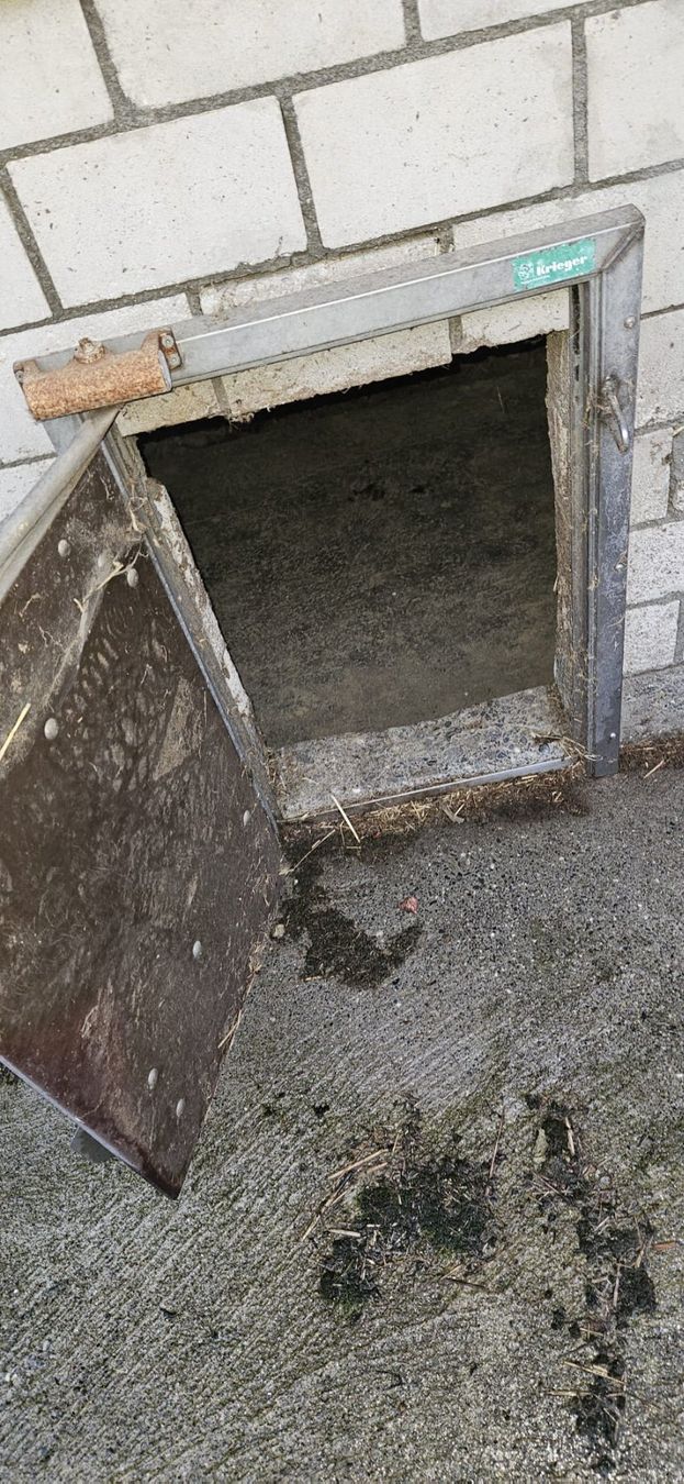 Portes: Schweinetüre, abschliessbar – D'occasion à St. Erhard par semsi95 1