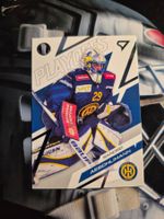 Sandro Aeschlimann HC Davos Playoffs 2025/26 Sportzoo