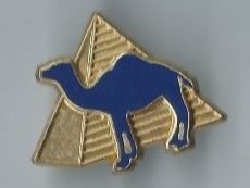 Tier  Pin