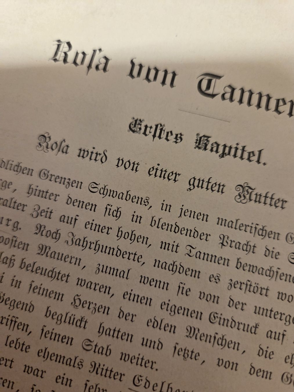 Libri: Antike Kinderbuch: Rosa von Tannenberg  – Usato da Subingen venduto da DENDLE20 5